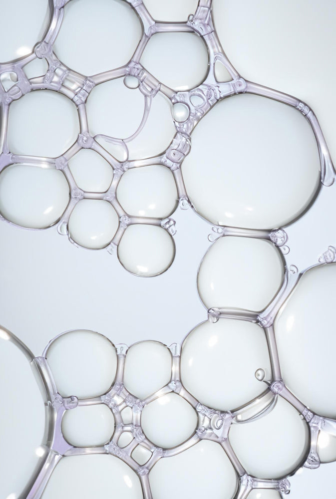 What are ceramides